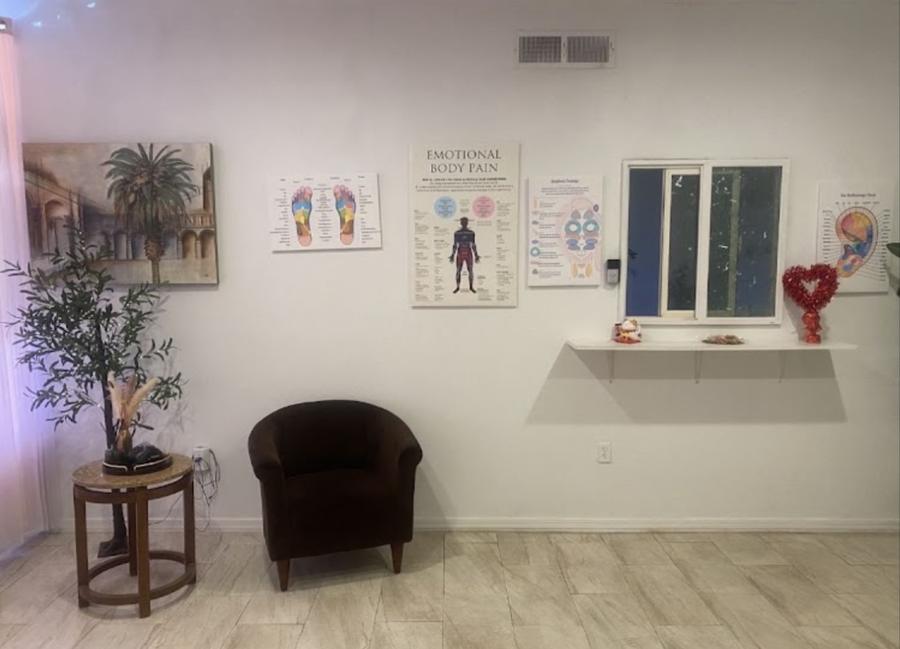 The waiting area with a chair, plants and reflexology charts on the wall